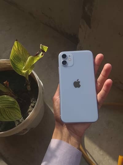 Apple iPhone 11