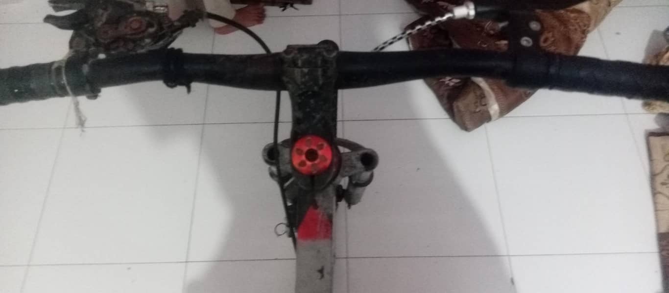 Cycle 2