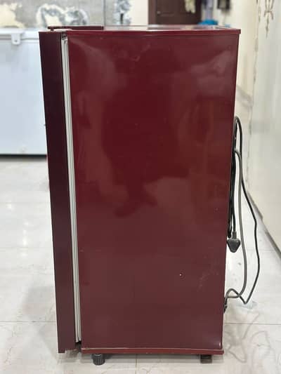 PEL Mini Fridge / Single Door Refrigerator – Excellent Condition