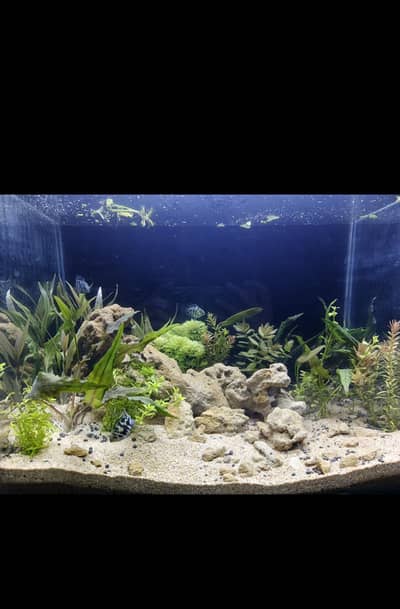 Aquarium