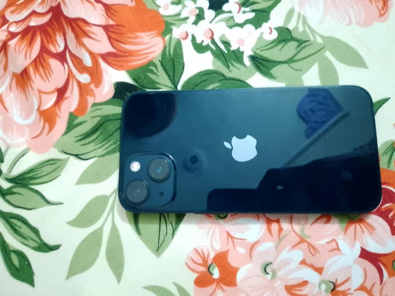 Apple iPhone 13 jv 0