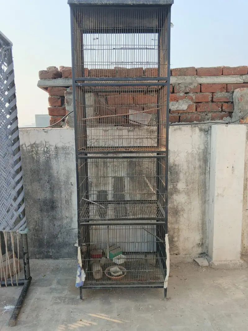 four portion cage — photo 2