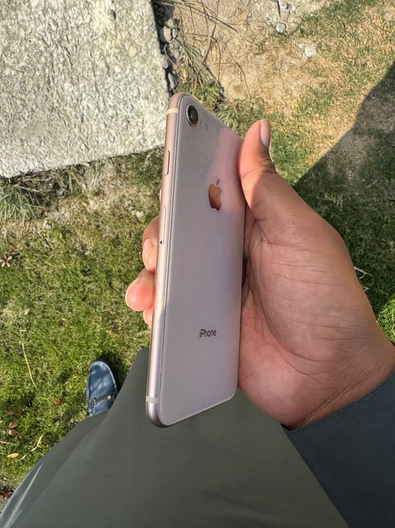 Apple iPhone 8 3