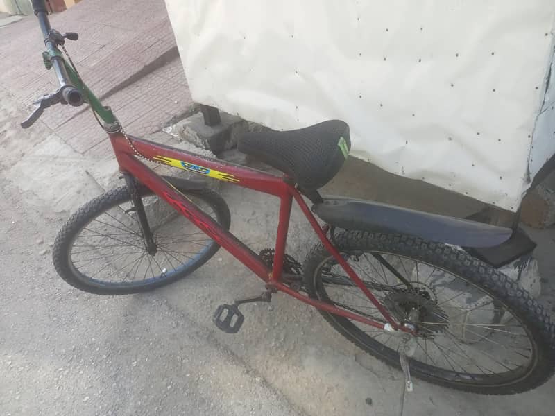 Birycles 1