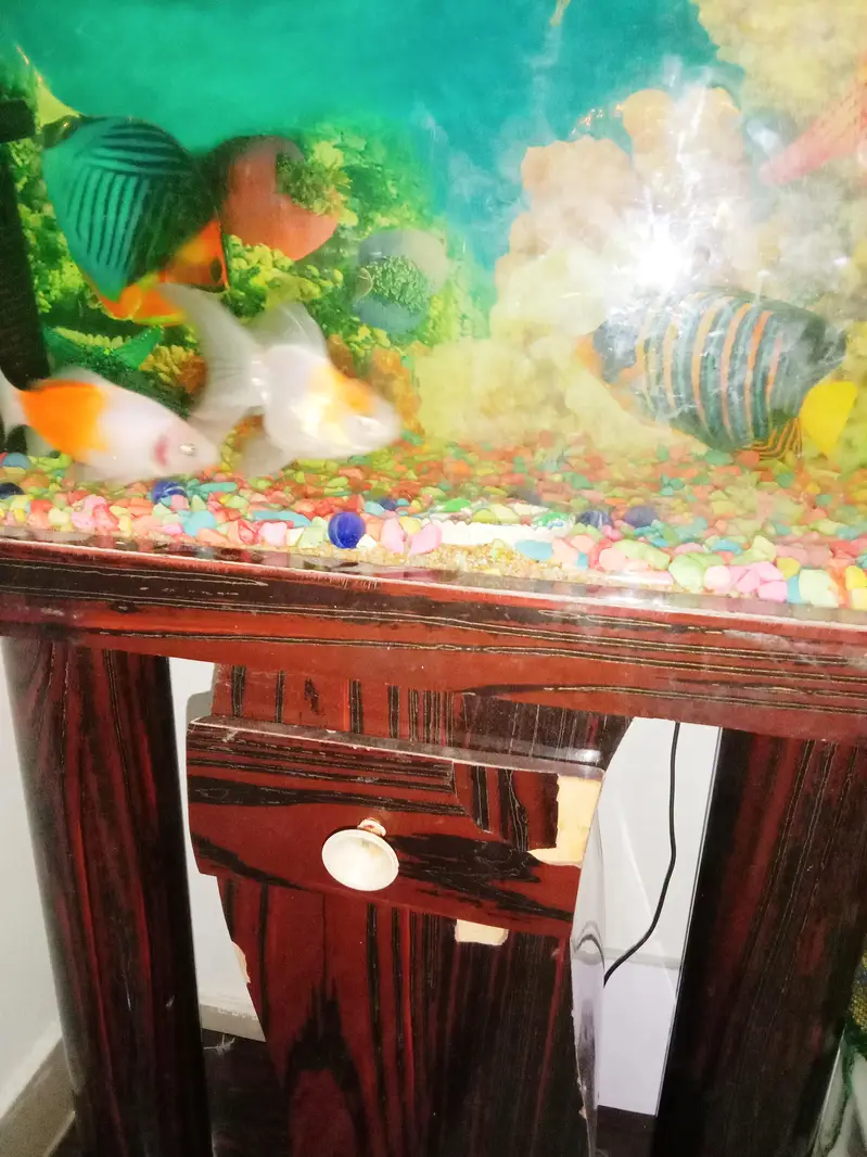 Fish Aquarium For sale — photo 5