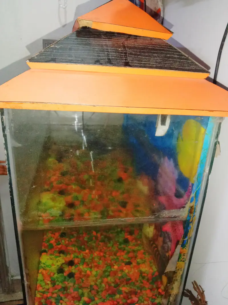 Fish Aquarium For sale — photo 6