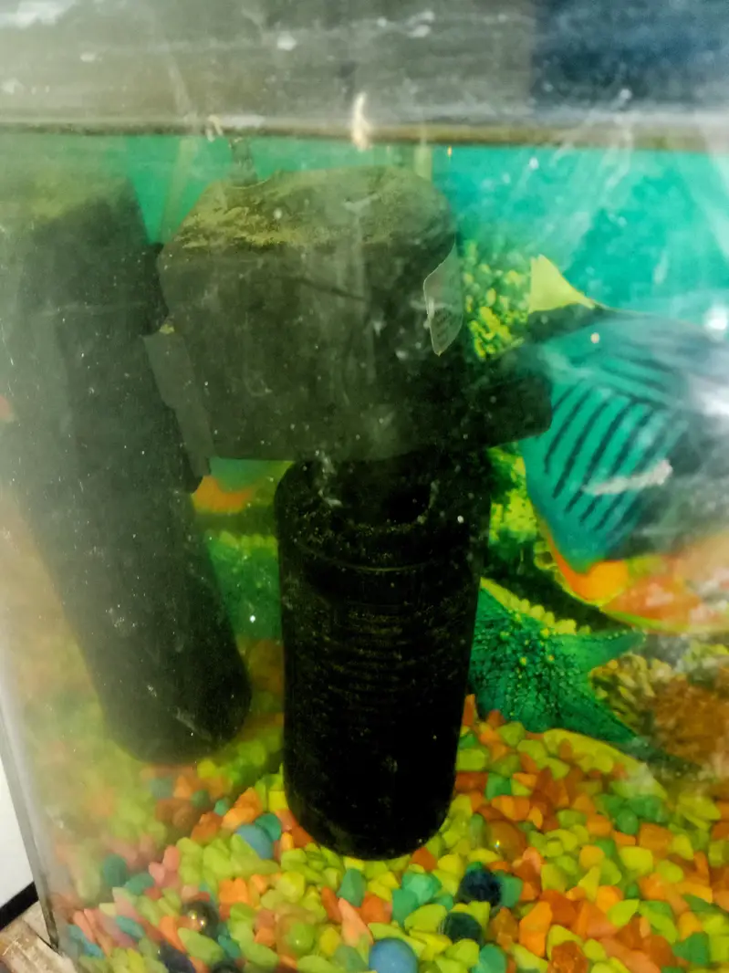 Fish Aquarium For sale — photo 8