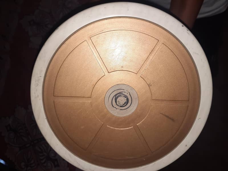Ceiling Fan 1