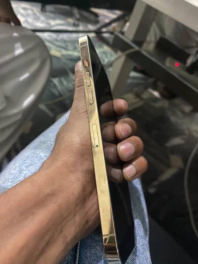 Apple iPhone 12 Pro Max