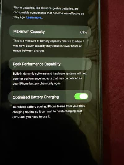 Apple iPhone 13 Pro Max