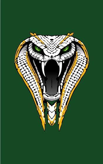 Vector Graphic Designer 0