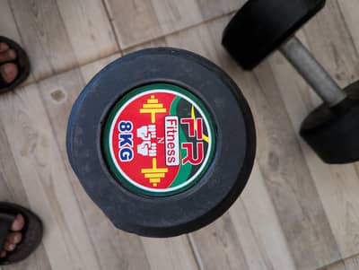 dumbbells for sale