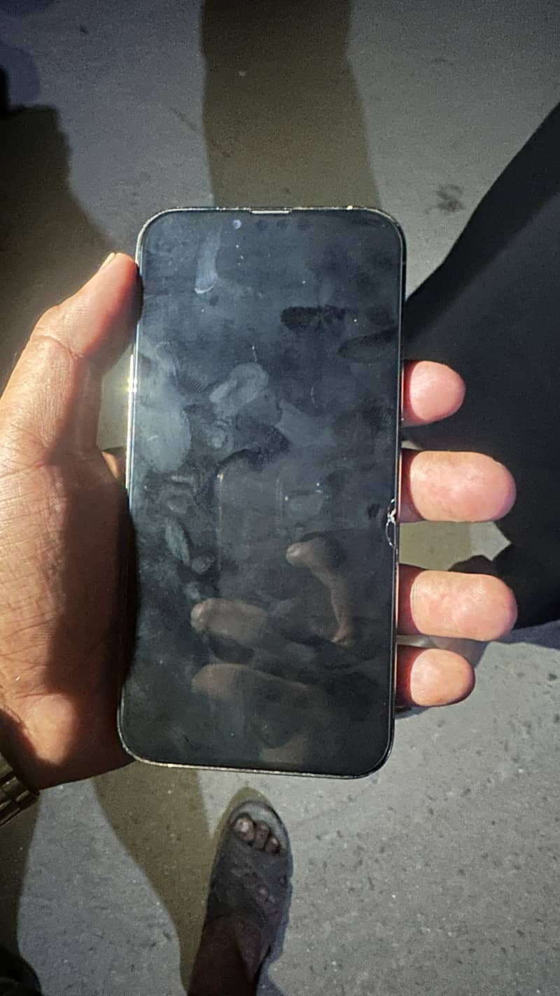 Apple iPhone 13 Pro Max 1
