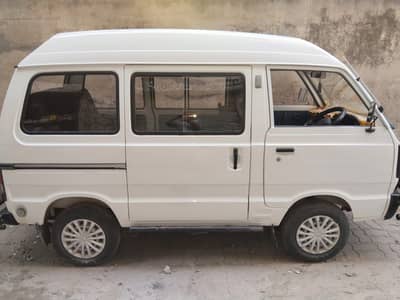 Bolan white