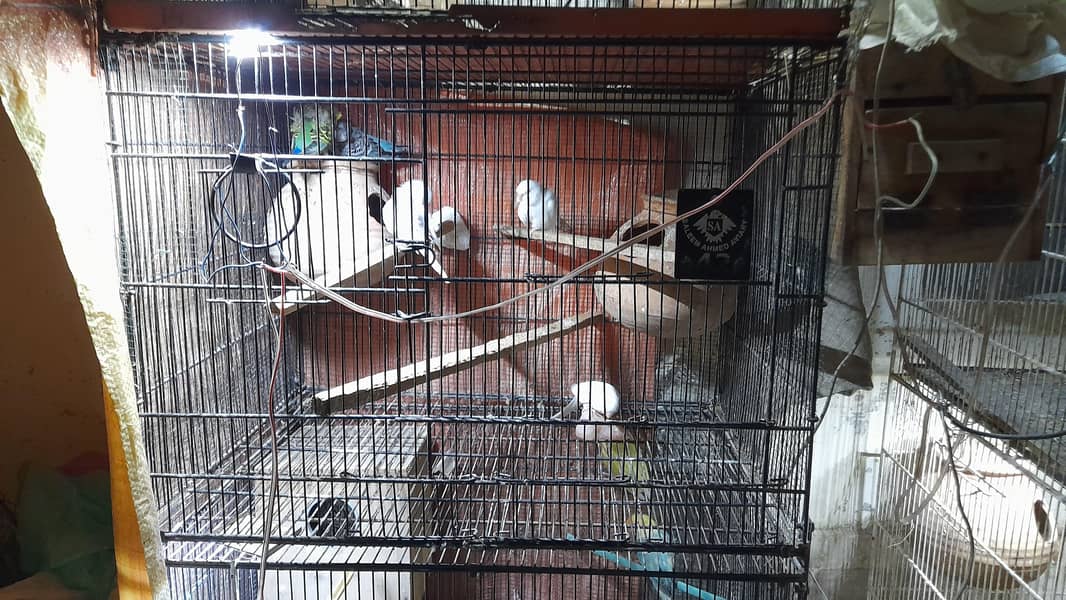 4 Portion FOLDING Cage 1