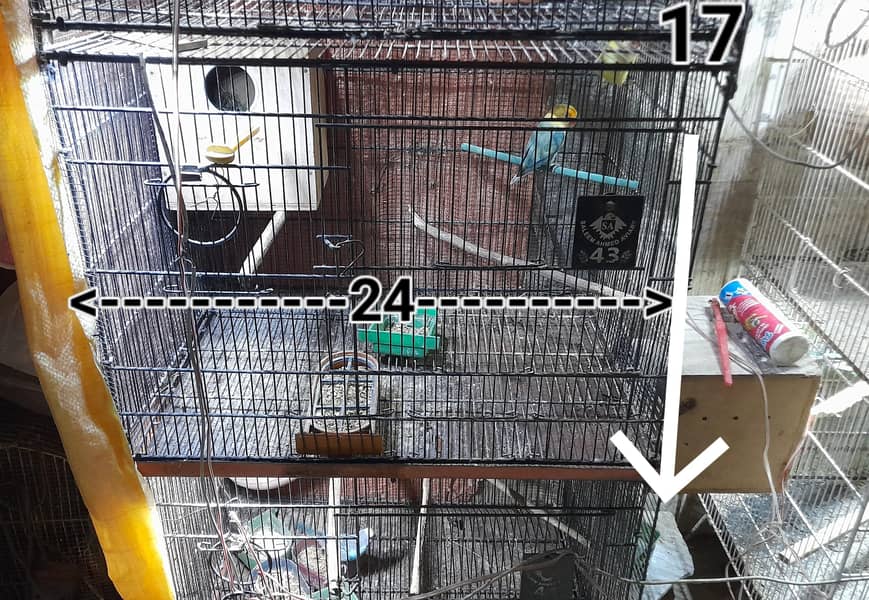 4 Portion FOLDING Cage 2