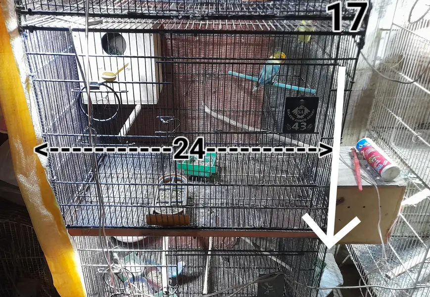 4 Portion FOLDING Cage — photo 3