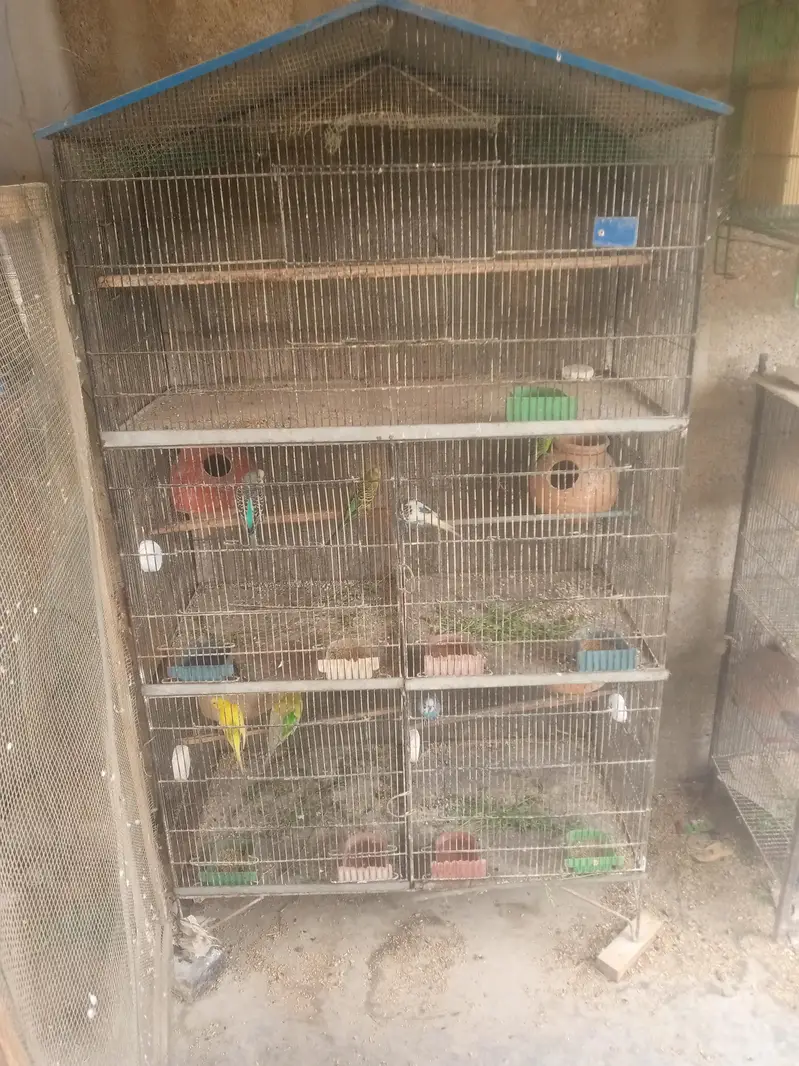 iron cage — photo 2