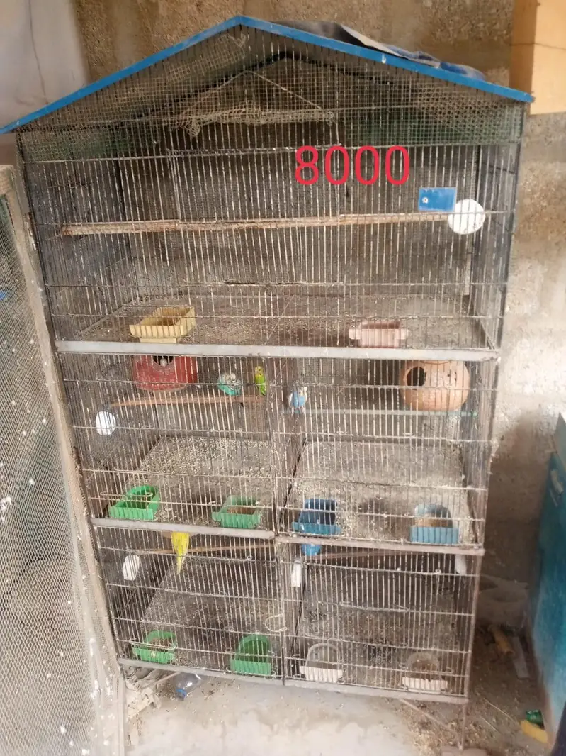 iron cage — photo 3