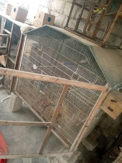 iron cage wood cage