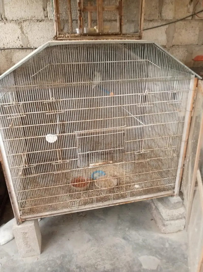 iron cage — photo 5