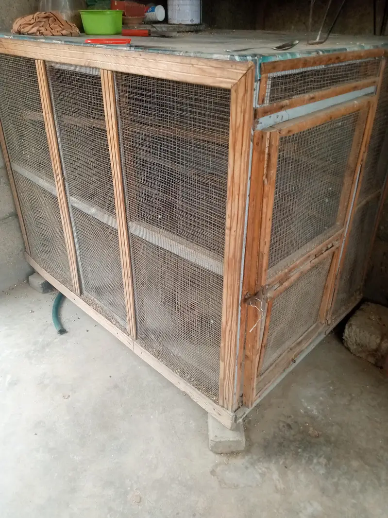 iron cage — photo 6