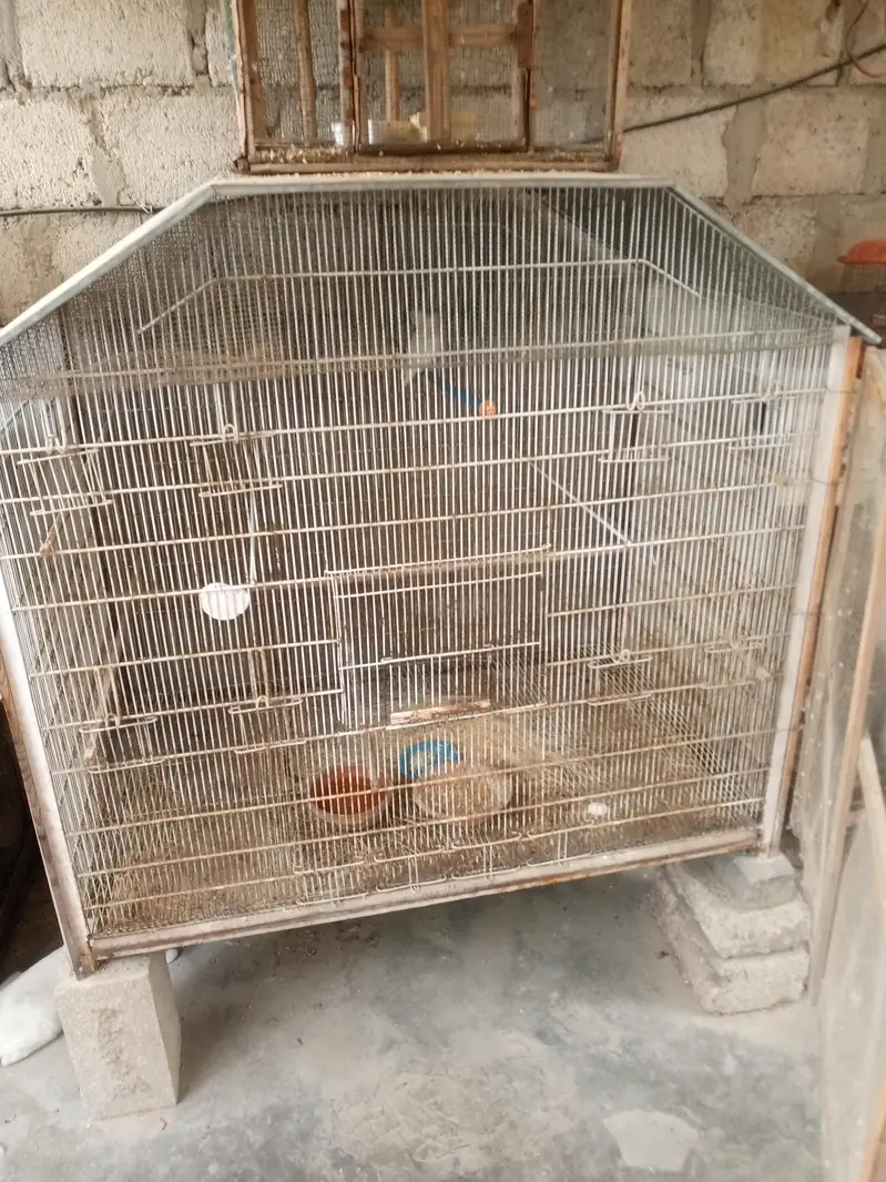 iron cage — photo 7