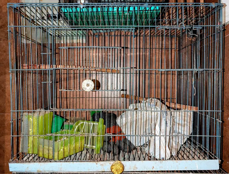 Cage For Sale 2 Portion Good Condition — photo 2