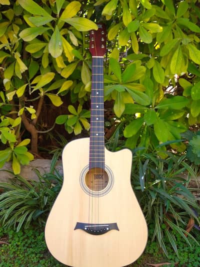 Hi volts acoustic guitar