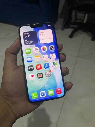 Apple iPhone 13 Pro Max