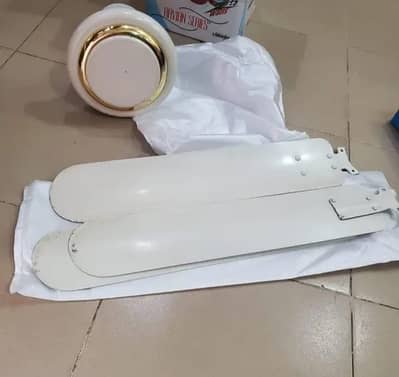 Royal fan