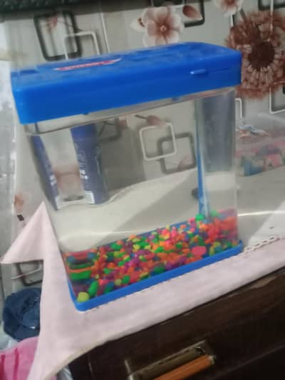aquarium