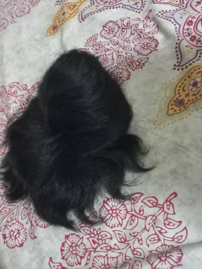 Front hair wig