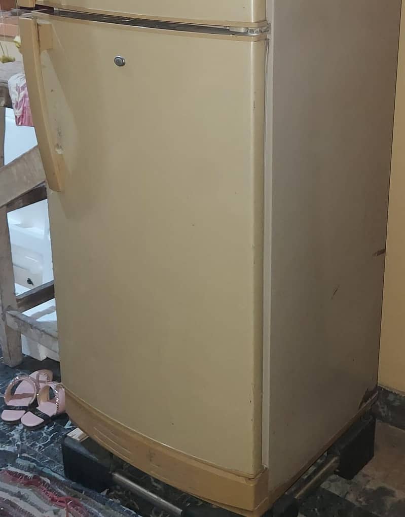 PEL Fridge 3
