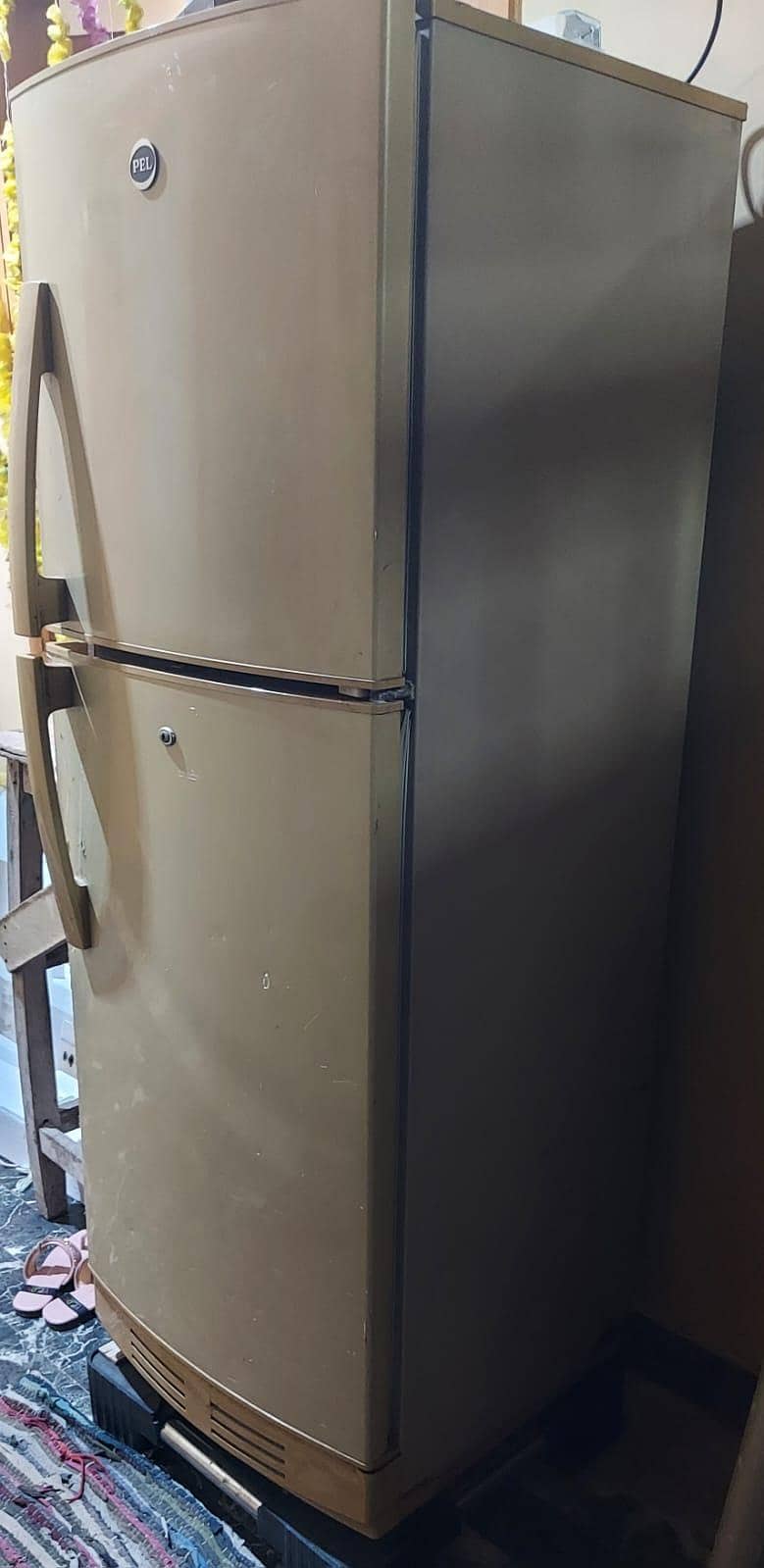 PEL Fridge 4