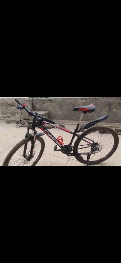 Champion bicycle