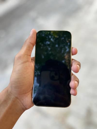 Apple iPhone 13 Pro