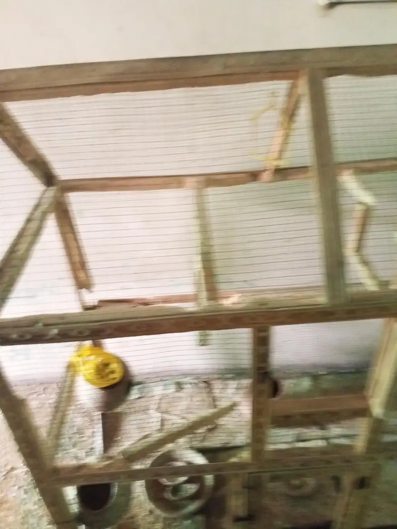 (Pinjra )Cages for pegions , parrots — photo 2