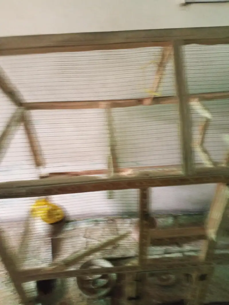 (Pinjra )Cages for pegions , parrots — photo 3