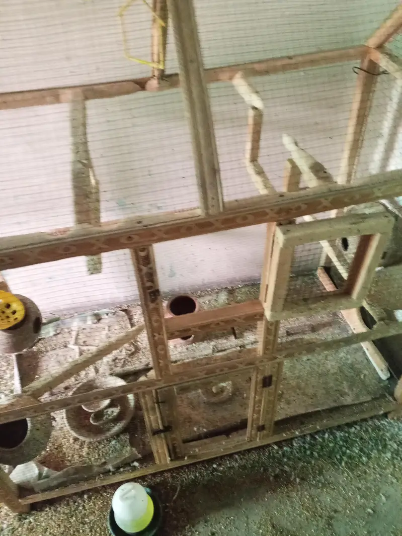 (Pinjra )Cages for pegions , parrots — photo 4