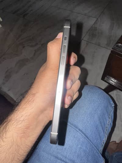 15 Pro Max