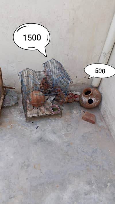 Egg box cages matki All piece available