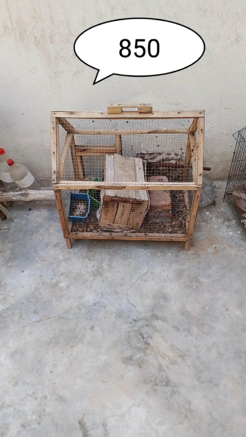 Egg box cages matki All piece available — photo 2