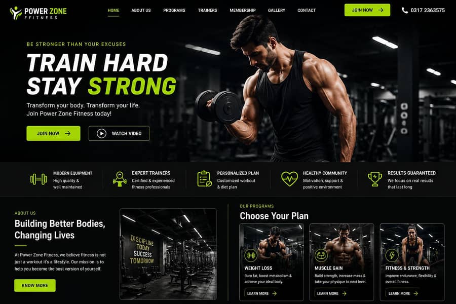 Professional Web Developer | WordPress & Business Websites 2