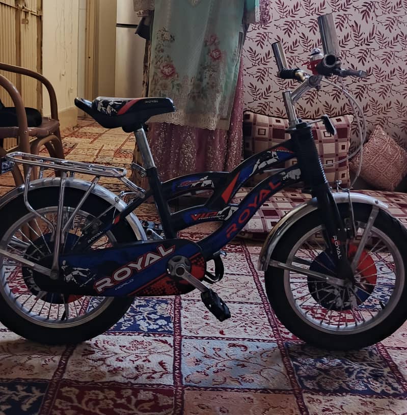 bicycle 0