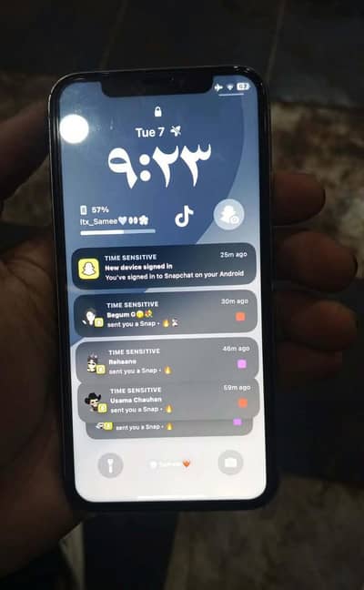 Apple iPhone X