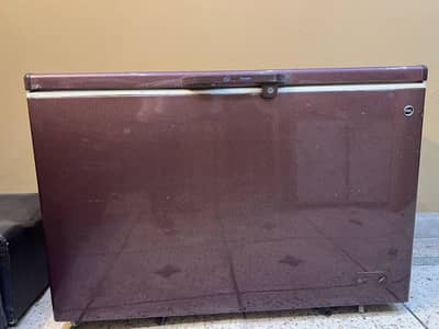 Pel Jumbo size deepfreezer