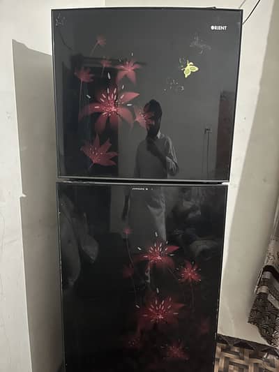 Orient glass double door refrigerator