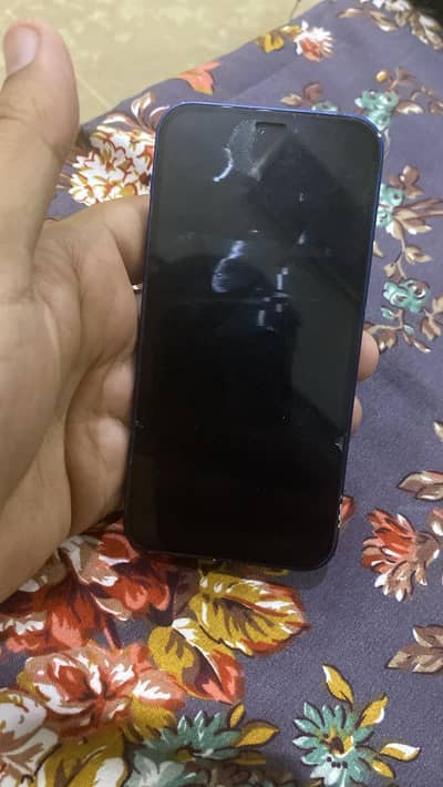 Apple iPhone 12 mini