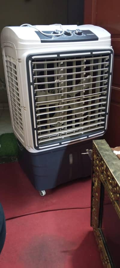 cherry Air cooler